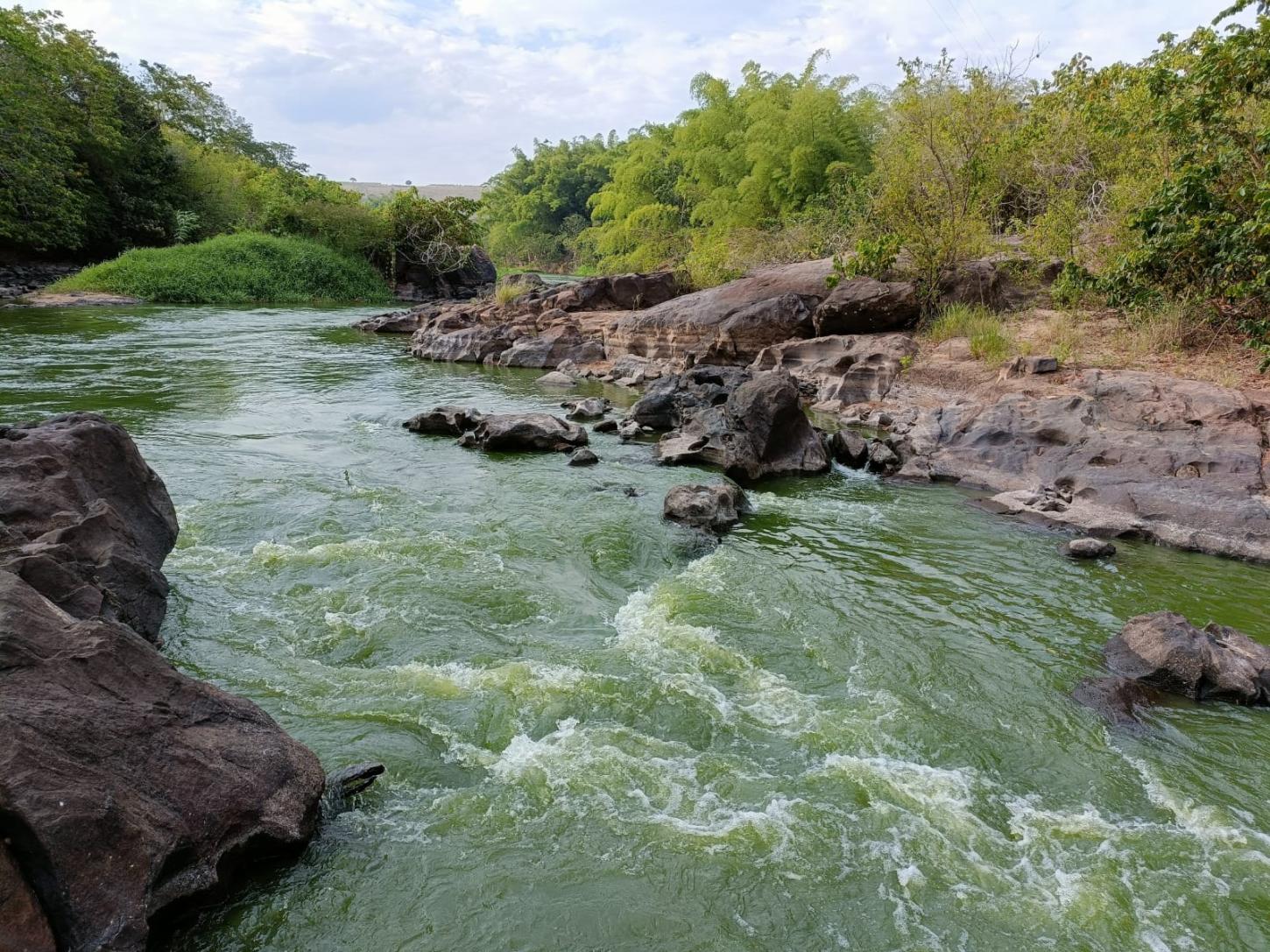 Mudança na cor das águas do rio Itanhém levanta preocupações ambientais, pois pode indicar a presença de cianobactérias