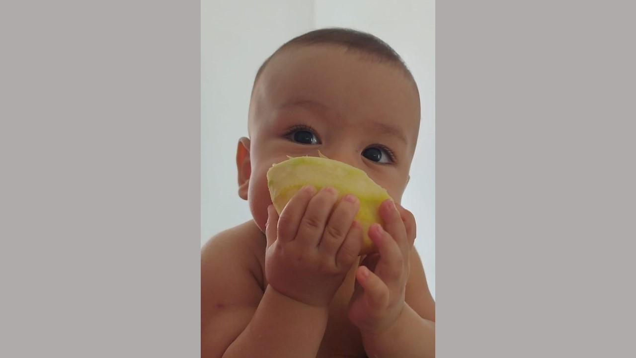 Eben observa o mundo enquanto chupa sua laranja, à espera de Sócrates, Platão e Aristóteles