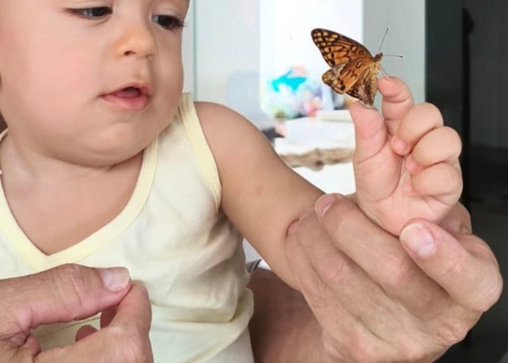 O bebê, a borboleta e a arte de existir