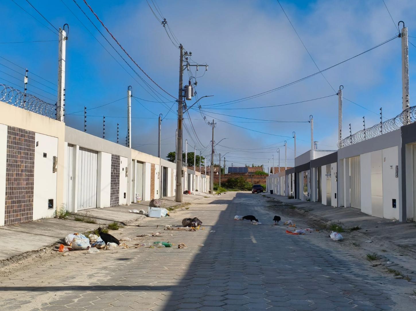 Os urubus já sabem o horário; a Prefeitura de Teixeira de Freitas, ao que parece, não