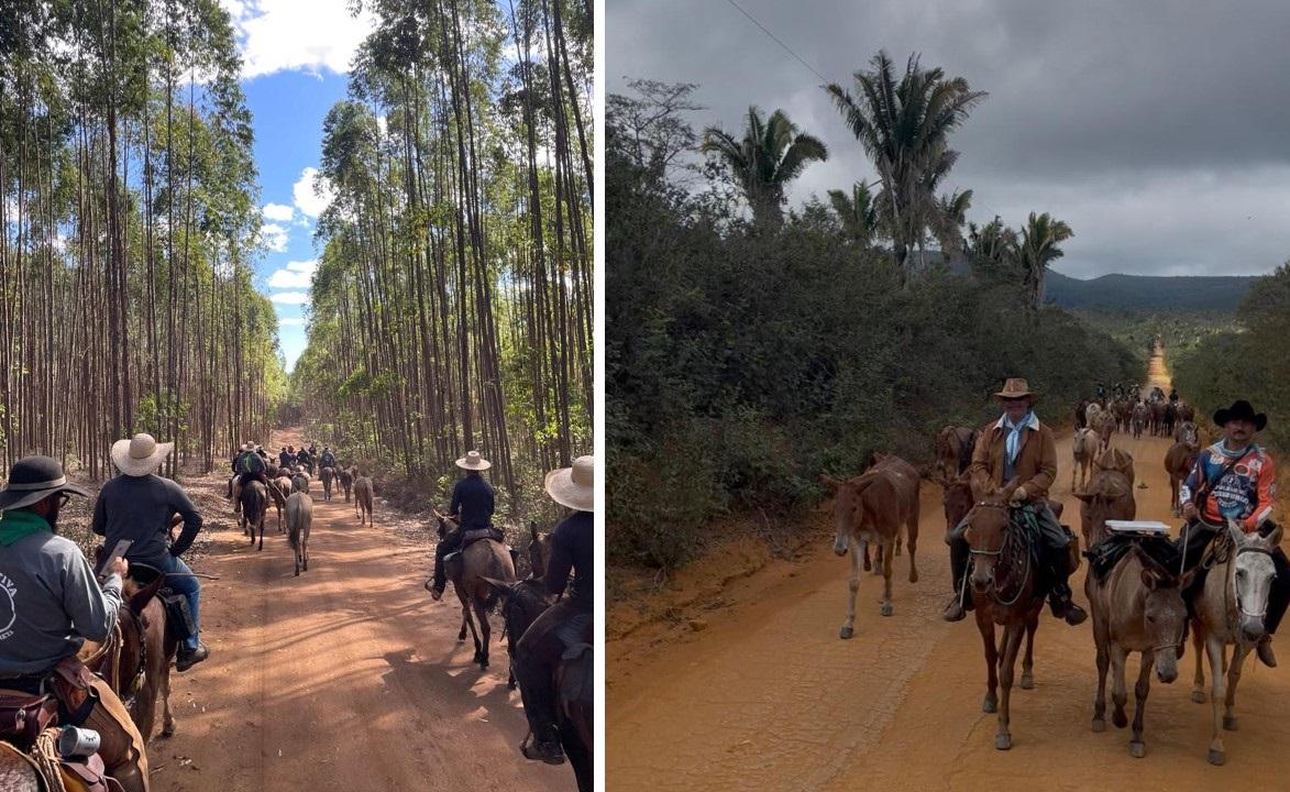 Muladeiros do Água Preta conclui romaria histórica a Bom Jesus da Lapa